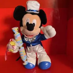 ミッキー・ミニー ぬいぐるみセット