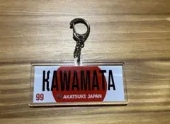 Item thumbnail for item 98ca9384-06df-4717-8254-e9da74027be7