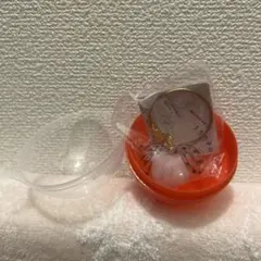 うちの子のけだまだま