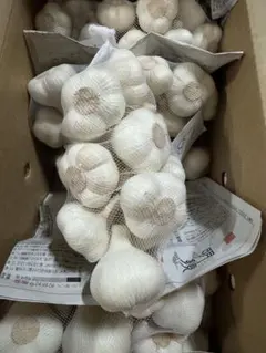 青森県産 令和8年 生にんにく 福地ホワイト六片 M 1kg - メルカリ