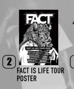 FACT IS LIFE TOUR POSTER ポスター