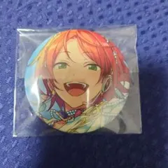 葵ひなた コレクション缶バッジ idol 2024 Jun