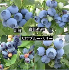 おおつぶ　あまつぶ星　群馬県産　ブルーベリーのサムネイル