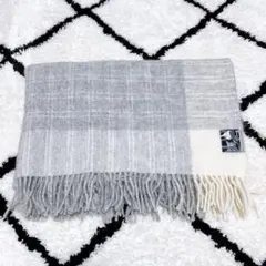 Item thumbnail for item d38560dd-ab70-4c2b-a471-fba69eb2a353