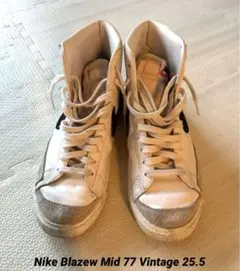 Item thumbnail for item 06744f2e-0aca-45b8-b140-87c45592ea03