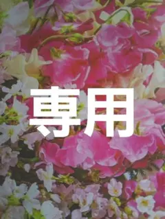 ぶーちゃん様専用お取り置き 他の方は購入をお控え下さい