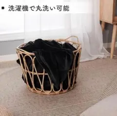 Item thumbnail for item e807bf31-762a-4794-ba34-a6d82cd25dcd