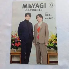 Item thumbnail for item 22cde6e2-8b62-4527-accc-d61a2046a1e5