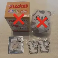 こうしくんセット