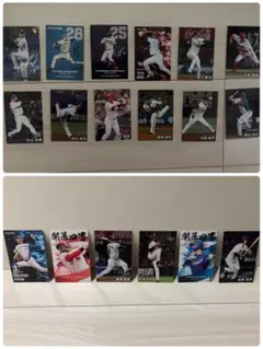 プロ野球チップスカード 18枚セット