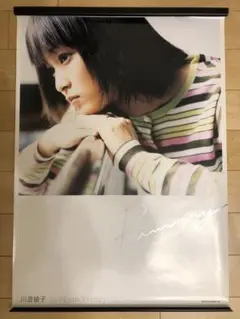 かのこん　川澄綾子　能登麻美子　直筆サイン入りポスター かのこん 川澄綾子 能登麻美子 直筆サイン入りポスター 2025年