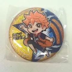 ハイキュー 日向翔陽 缶バッジ