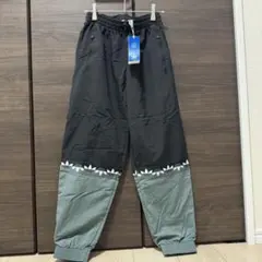 Item thumbnail for item 98f2128d-cf92-47a1-8ae3-b23efac27ee4