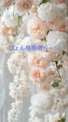 ぴょん様専用ページ