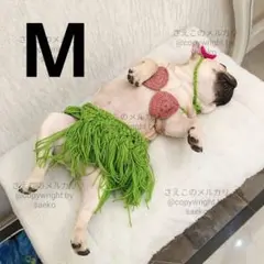 【Mサイズ】ペット用ニットビキニ3点セット【新品未使用】旅行 記念写真