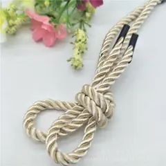 水引 髪飾り 成人式 結婚式 七五三 卒業式 和紐 振袖 シャンパンゴールド