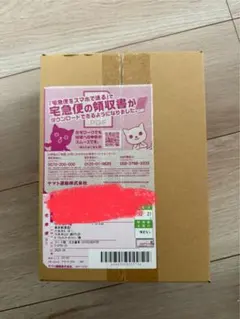 シャイニートレジャーex ポケセン産