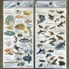 m様 リクエスト 2点 まとめ商品