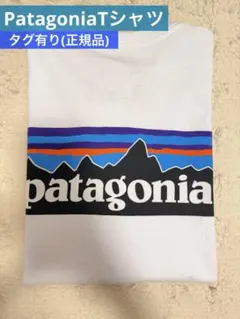 Patagonia Tシャツ