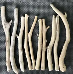 422☆枝分かれ　曲がった　流木　19〜26 ハンドメイド　マクラメハンガー工作