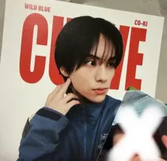 WILD BLUE CO-KI アナザージャケットのみ