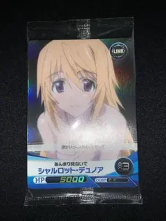 未開封 シャルロット・デュノア ファイブクロス インフィニット・ストラトス