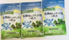 漢方百草 乳酸菌＆イチョウ葉の恵み 3袋セット - メルカリ
