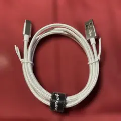 USB-C to USBケーブル 約1.2m シルバー
