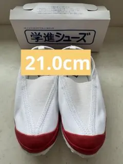 Item thumbnail for item 5fd12b26-55db-4907-93a9-e38e59eb68b9