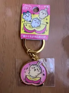 Item thumbnail for item 8d145a29-1233-46cb-9eac-52da23780023