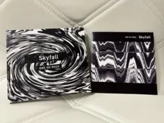 ONE OK ROCK ワンオク Skyfall 会場限定CD