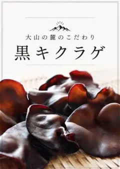 【安心安全】純国産★生キクラゲ500g★のサムネイル