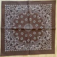 たーく様専用HAV-A-HANK ペイズリーバンダナ 2枚セット