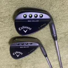 Item thumbnail for item aa3f339b-a067-49b0-9b3b-1c0574b7cf9b