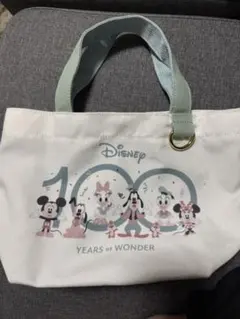 ディズニー　100周年　バッグ