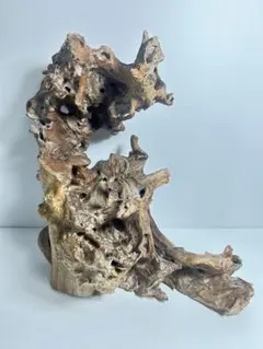 天然木　インテリア　オブジェ　置物　一点物