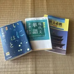 大学受験 参考書 3冊セット 古文単語 現代文単語 漢文必携