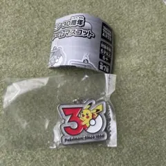 ポケモン30周年 メタルチャームマスコット めじるしアクセサリー　ピカチュウ
