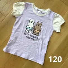 miffy ミッフィー メラニー　Tシャツ パープル　120センチのサムネイル