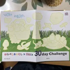 【新品 未使用】オイシックス シールセット