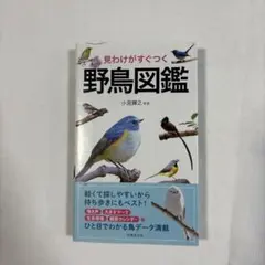 Item thumbnail for item bb1d842f-f795-4f05-bdba-a37e8fc7a83c