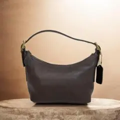 コーチ　アクセサリーポーチ ワンショルダー オールドレザー ホーボー　9844