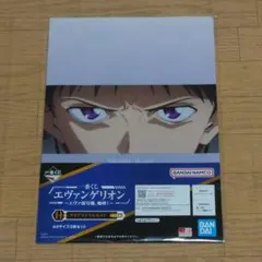一番くじ エヴァ H賞 クリアファイル 碇シンジ