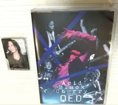 アシッドブラックチェリー　QED 缶バッヂ