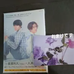 TVドラマ&劇場版「美しい彼」公式ビジュアルブック