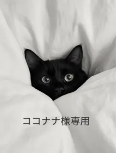 ココナナ様専用　BABYMONSTER チキタトレカ