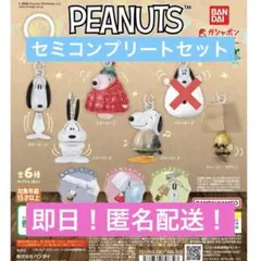 ピーナッツ/めじるしアクセサリー/セミコンプリートセット