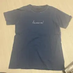 Awesome! 刺繍 ダークブルー Tシャツ L チャオパニック