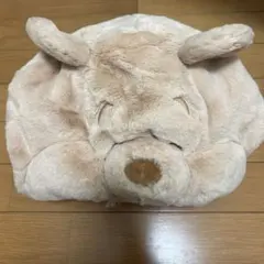 プーさんファンキャップ