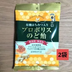 Item thumbnail for item 56c7a23f-3914-4243-a85f-14f7e26f3838